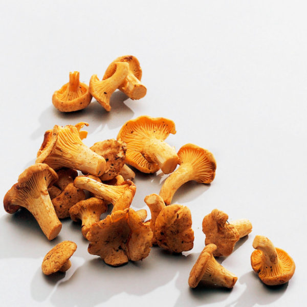Vorspeise | FINFERLI  | GEBRATENEN PFIFFERLINGE