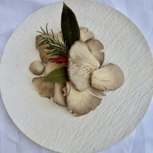 Vorspeise | FAMIGLIOLE | AUSTERNPILZE