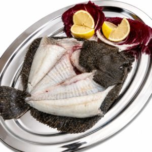 Fisch | ROMBO | BABYSTEIBUTT FILET