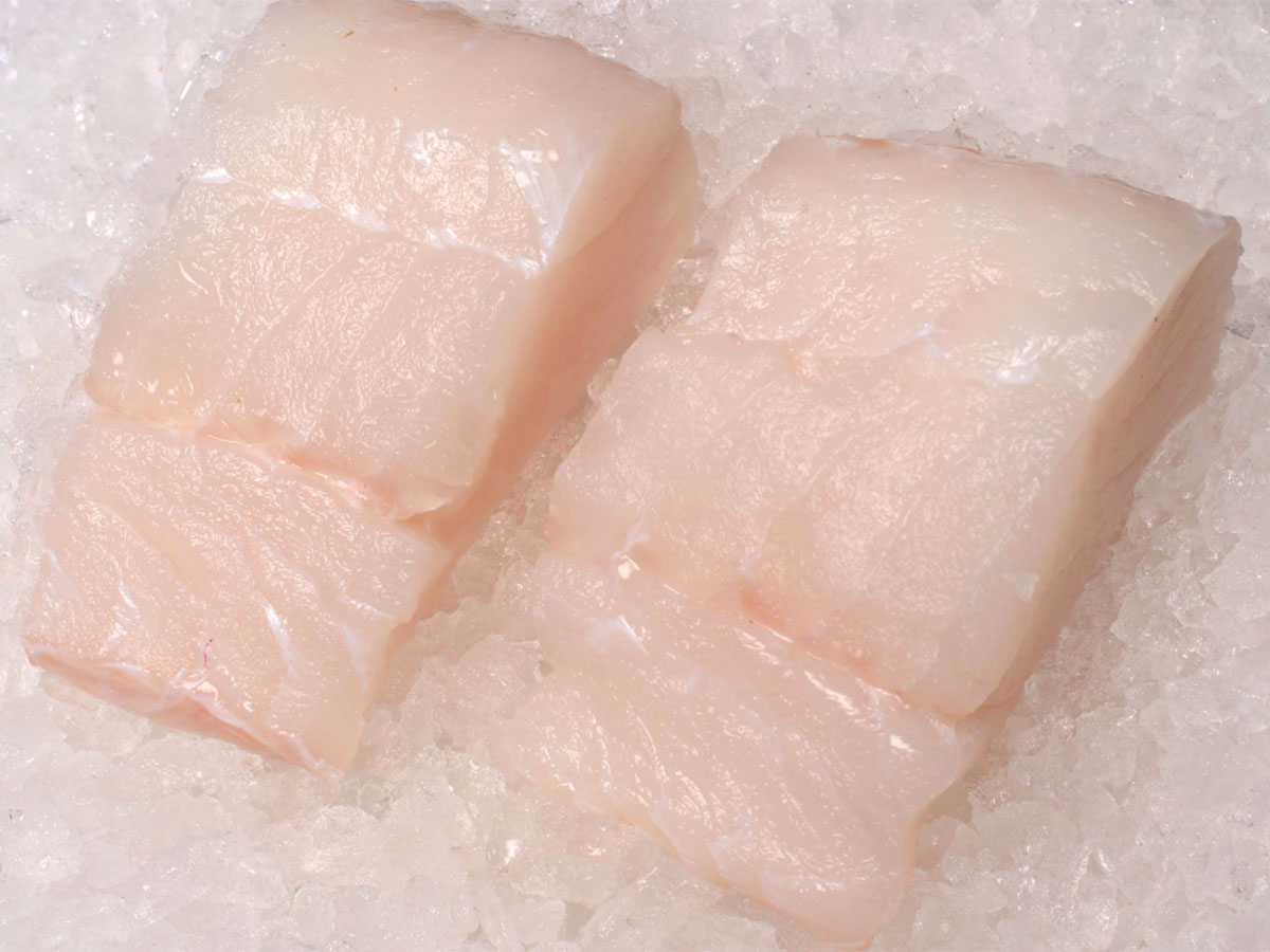 FISCH | LUCCIO | ZANDERFILET