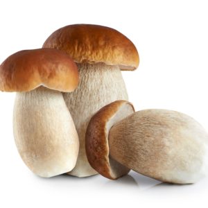 Vorspeise | PRCINI TRIFOLATI | STEINPILZE